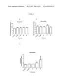 FORMULAS COMPRISING HIGHLY SOLUBLE ELEMENTS AND VITAMIN FOR THE PREVENTION     AND AMELIORATION OF OSTEOPOROSIS diagram and image