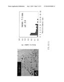 COMPOSITE OF SIZE-CONTROLLABLE METAL NANOPARTICALES AND THE METHOD OF     MAKING THE SAME diagram and image