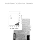 COMPOSITE OF SIZE-CONTROLLABLE METAL NANOPARTICALES AND THE METHOD OF     MAKING THE SAME diagram and image