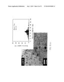 COMPOSITE OF SIZE-CONTROLLABLE METAL NANOPARTICALES AND THE METHOD OF     MAKING THE SAME diagram and image