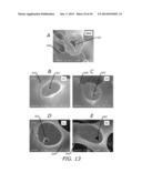 FOAM-LIKE MATERIALS AND METHODS FOR PRODUCING SAME diagram and image