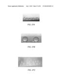 APPARATUSES AND METHODS FOR THE PRODUCTION OF FIBERS diagram and image