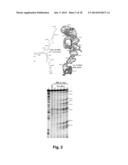 PROBES OF RNA STRUCTURE AND METHODS FOR USING THE SAME diagram and image