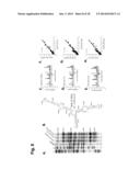 PROBES OF RNA STRUCTURE AND METHODS FOR USING THE SAME diagram and image