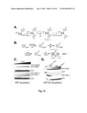 PROBES OF RNA STRUCTURE AND METHODS FOR USING THE SAME diagram and image