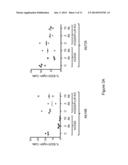 HUMANIZED FC GAMMA R MICE diagram and image