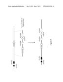 HUMANIZED FC GAMMA R MICE diagram and image