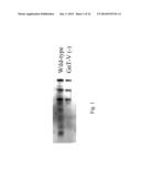 GLYCOPROTEIN CANCER BIOMARKER diagram and image