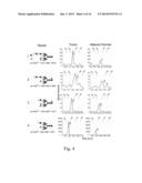 GLYCOPROTEIN CANCER BIOMARKER diagram and image