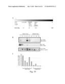 GLYCOPROTEIN CANCER BIOMARKER diagram and image