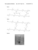 CROSS-LINKED POLY-E-LYSINE PARTICLES diagram and image