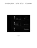 THERMOSTABLE CHIMERIC NUCLEIC ACID POLYMERASES AND USES THEREOF diagram and image