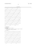 THERMOSTABLE CHIMERIC NUCLEIC ACID POLYMERASES AND USES THEREOF diagram and image