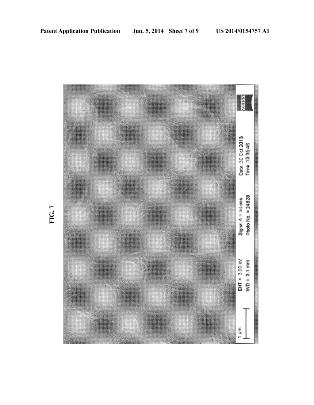 PROCESSES AND APPARATUS FOR PRODUCING NANOCELLULOSE, AND COMPOSITIONS AND     PRODUCTS PRODUCED THEREFROM - diagram, schematic, and image 08