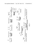 PRODUCTION OF ACETYL-COENZYME A DERIVED ISOPRENOIDS diagram and image