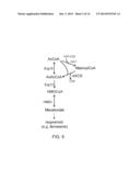 PRODUCTION OF ACETYL-COENZYME A DERIVED ISOPRENOIDS diagram and image