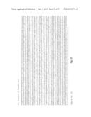 NPP1 FUSION PROTEINS diagram and image