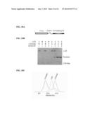 PHOTOCLEAVABLE LINKER diagram and image