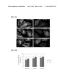 PHOTOCLEAVABLE LINKER diagram and image