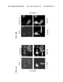 PHOTOCLEAVABLE LINKER diagram and image