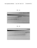 High Fidelity Restriction Endonucleases diagram and image