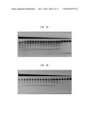 High Fidelity Restriction Endonucleases diagram and image