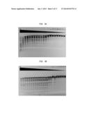 High Fidelity Restriction Endonucleases diagram and image