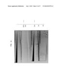 High Fidelity Restriction Endonucleases diagram and image