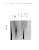 High Fidelity Restriction Endonucleases diagram and image