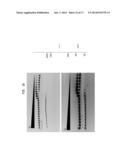 High Fidelity Restriction Endonucleases diagram and image