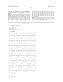 High Fidelity Restriction Endonucleases diagram and image