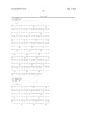 High Fidelity Restriction Endonucleases diagram and image