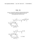 METHOD OF TARGETING SPECIFIC CELL POPULATIONS USING CELL-BINDING AGENT     MAYTANSINOID CONJUGATES LINKED VIA A NON-CLEAVABLE LINKER, SAID     CONJUGATES AND METHODS OF MAKING SAID CONJUGATES diagram and image