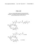 METHOD OF TARGETING SPECIFIC CELL POPULATIONS USING CELL-BINDING AGENT     MAYTANSINOID CONJUGATES LINKED VIA A NON-CLEAVABLE LINKER, SAID     CONJUGATES AND METHODS OF MAKING SAID CONJUGATES diagram and image