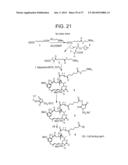 METHOD OF TARGETING SPECIFIC CELL POPULATIONS USING CELL-BINDING AGENT     MAYTANSINOID CONJUGATES LINKED VIA A NON-CLEAVABLE LINKER, SAID     CONJUGATES AND METHODS OF MAKING SAID CONJUGATES diagram and image