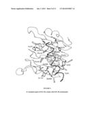 STRUCTURE OF THE C-TERMINAL REGION OF THE INSULIN RECEPTOR a-CHAIN AND OF     THE INSULIN-LIKE GROWTH FACTOR RECEPTOR a-CHAIN diagram and image