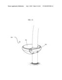 PLAY SYSTEMS HAVING MULTIPLE CURVED STRUCTURAL MEMBERS diagram and image