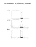 METHODS OF DETERMINING STABILIZATION COMPOUNDS FOR PREDICTIVE BIOMARKERS diagram and image