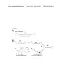 SYSTEM FOR IDENTIFICATION OF MICROORGANISM AND DETECTION OF INFECTIOUS     DISEASE diagram and image