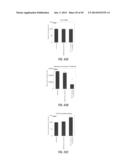 HYDROXYTYROSOL AND OLEUROPEIN COMPOSITIONS FOR INDUCTION OF DNA DAMAGE,     CELL DEATH AND LSD1 INHIBITION diagram and image