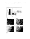 Therapeutic Compounds diagram and image