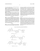 BHQ-CONJUGATES, AND RELATED COMPOUNDS, METHODS OF MAKING THE SAME, AND     METHODS OF USE THEREOF diagram and image