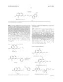 BHQ-CONJUGATES, AND RELATED COMPOUNDS, METHODS OF MAKING THE SAME, AND     METHODS OF USE THEREOF diagram and image