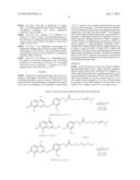 BHQ-CONJUGATES, AND RELATED COMPOUNDS, METHODS OF MAKING THE SAME, AND     METHODS OF USE THEREOF diagram and image