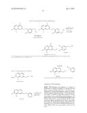 BHQ-CONJUGATES, AND RELATED COMPOUNDS, METHODS OF MAKING THE SAME, AND     METHODS OF USE THEREOF diagram and image