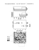 EMT SIGNATURES AND PREDICTIVE MARKERS AND METHOD OF USING THE SAME diagram and image