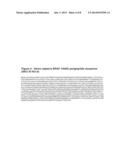 BRAF Mutations Conferring Resistance to BRAF Inhibitors diagram and image