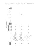 COMPOUNDS FOR MODULATING TRPV3 FUNCTION diagram and image