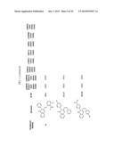 COMPOUNDS FOR MODULATING TRPV3 FUNCTION diagram and image