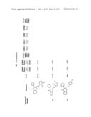 COMPOUNDS FOR MODULATING TRPV3 FUNCTION diagram and image